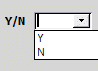 Combo Box Yes/No